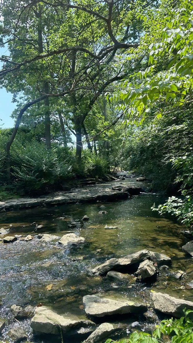 visiouz's tweet image. Nature heals everything ! #nature #natureview