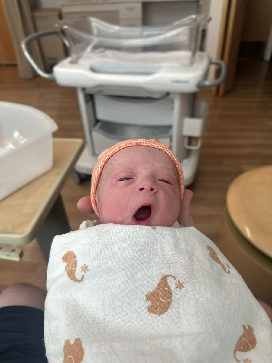 Quelindaa702's tweet photo. Our Enzo Xavier has made his debut on April 20th, weighing 5 pounds 4 ounces, &amp; 18 inches long. Our premie baby is beautiful &amp; perfect. We are so proud to be your parents Enzo. 🥹💕 @HoVaKitZ https://t.co/PeL2KgcjnB