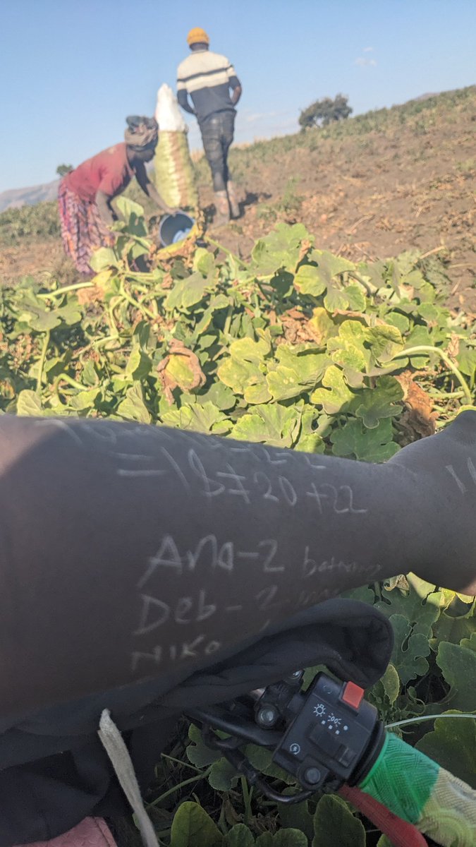 TICHA MANDEVU13 tweet media