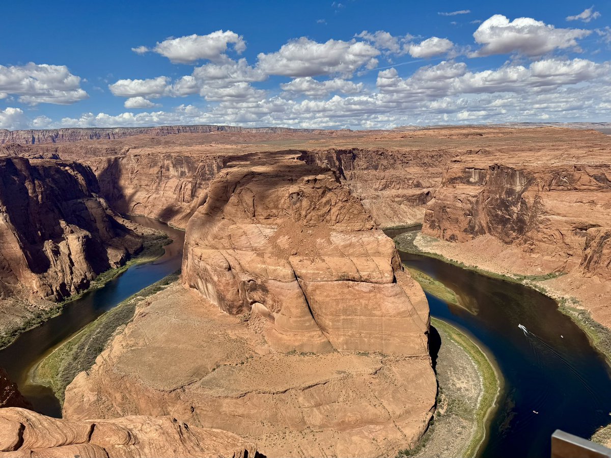 DINO 🦖 tweet media