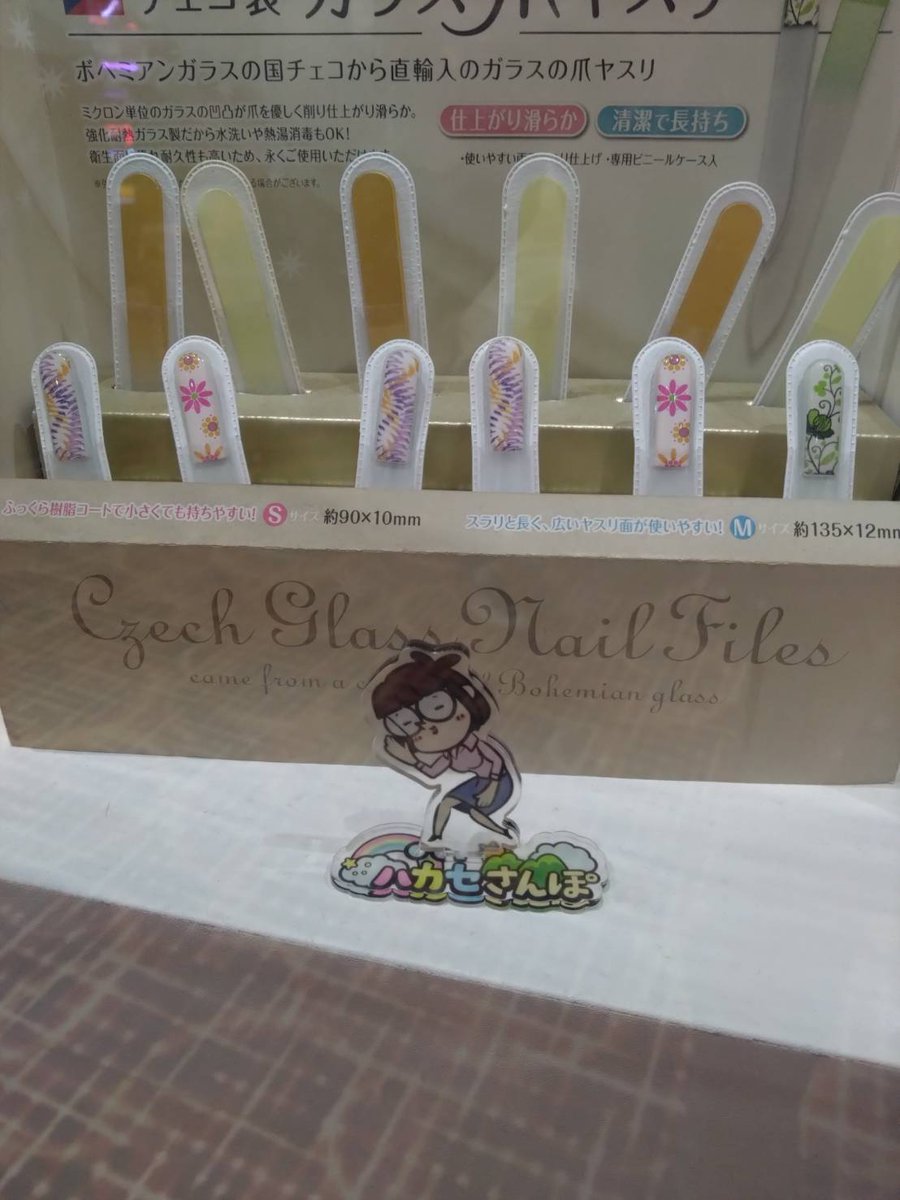 コタロー【ヴィームスタジアム】 tweet media