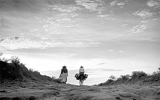 Tomás N. RICO-MORA (Jiuatsï), MCP-SPURS (@MITdusp) tweet media