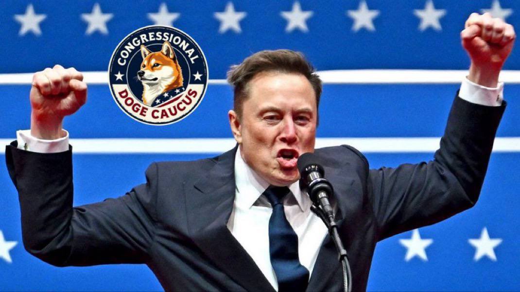 David Anate Bello tweet media