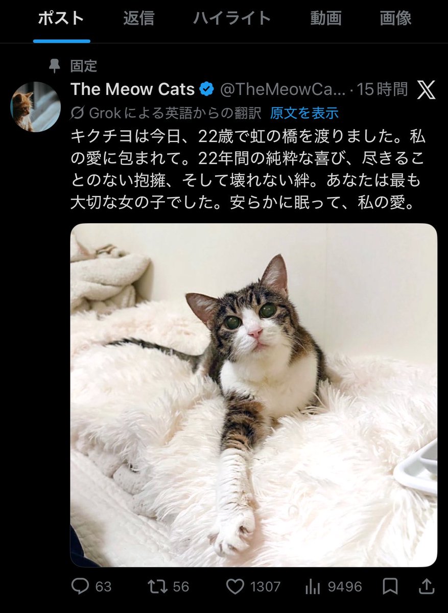 菊千代とmum tweet media