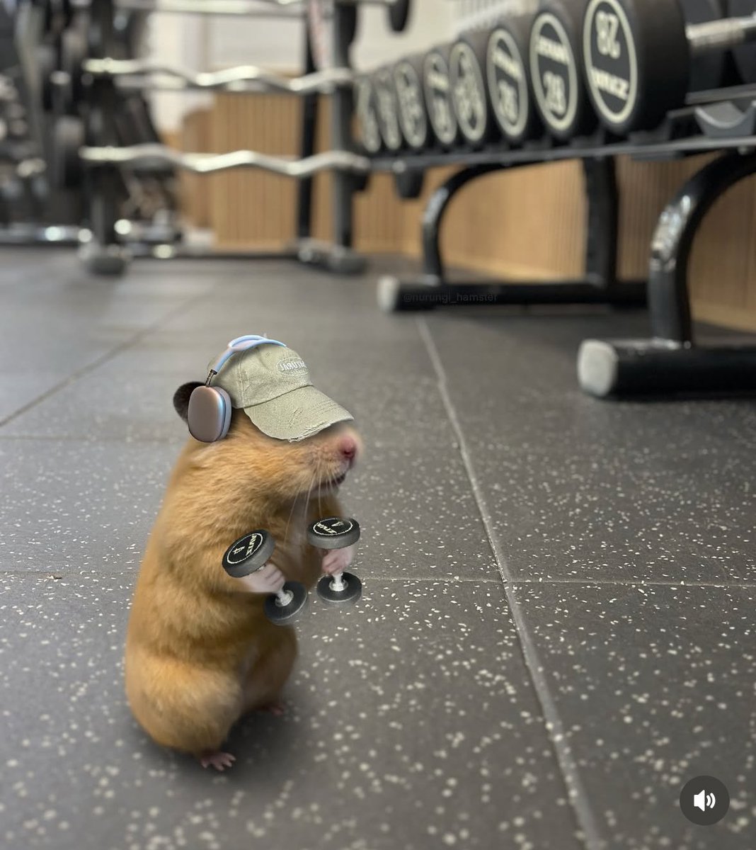 Dominic Agnes tweet media