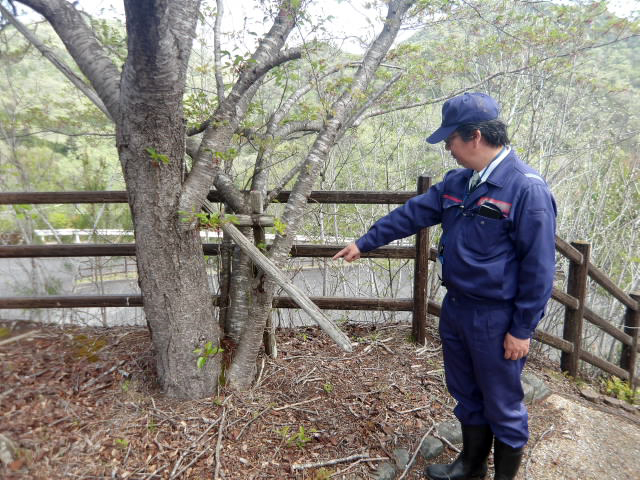 mlit_hattabara's tweet photo. 八田原ダム・芦田湖周辺の一般利用施設等の安全利用点検を実施しました。今回の点検で重大な危険を生じる恐れのある箇所は見つかりませんでした。引き続き、皆様が安心して利用出来るように、定期的な巡視及び点検を行ってまいります。

#八田原ダム　#安全利用点検 https://t.co/CYTvPUKglc
