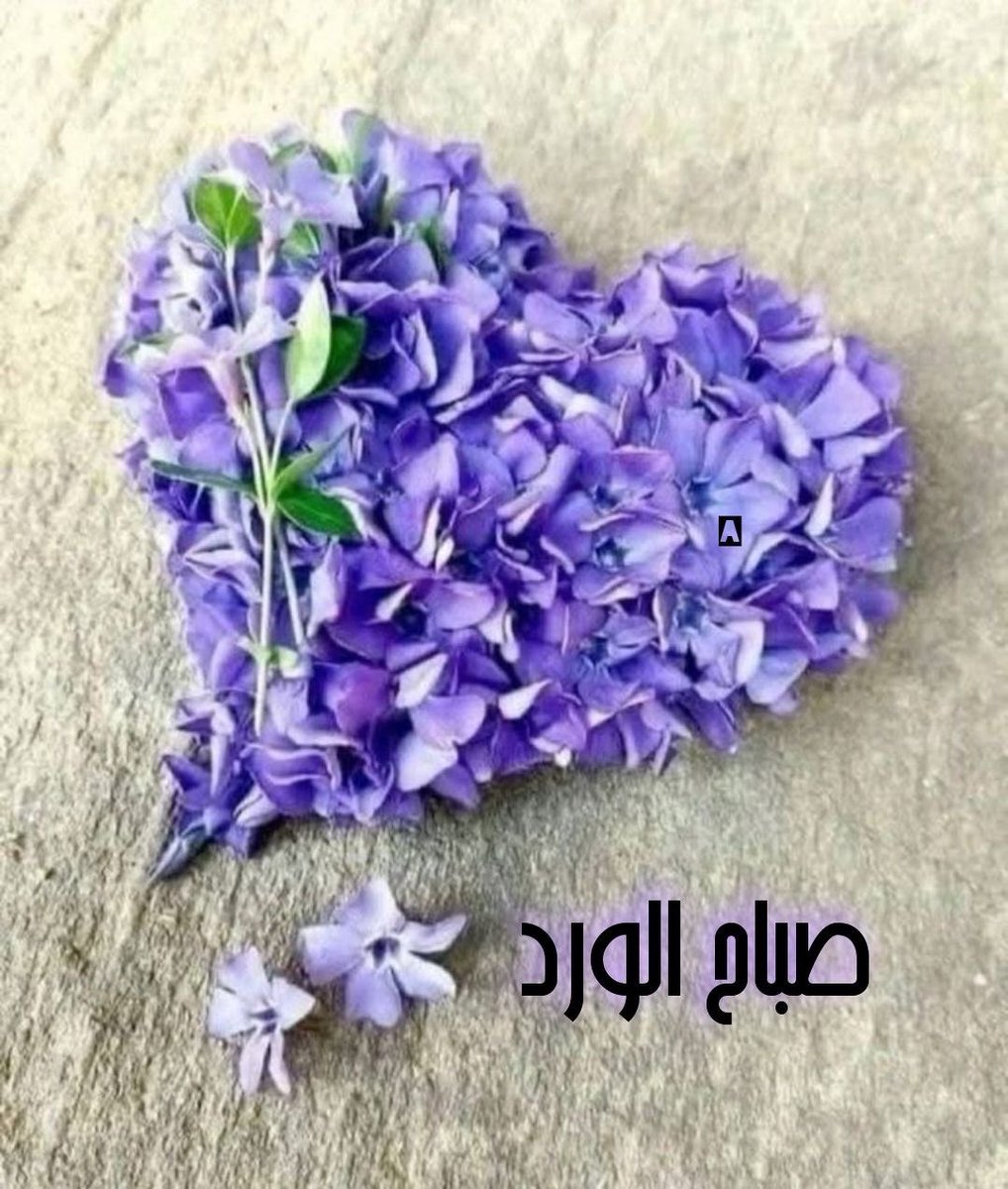 الايجابيه tweet media