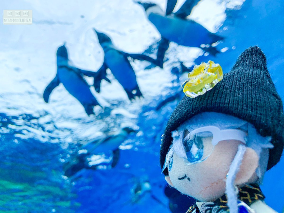 mi mi mi tweet media