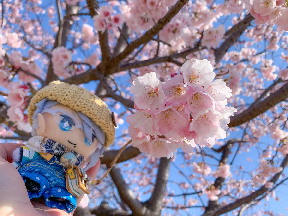 mi mi mi tweet media