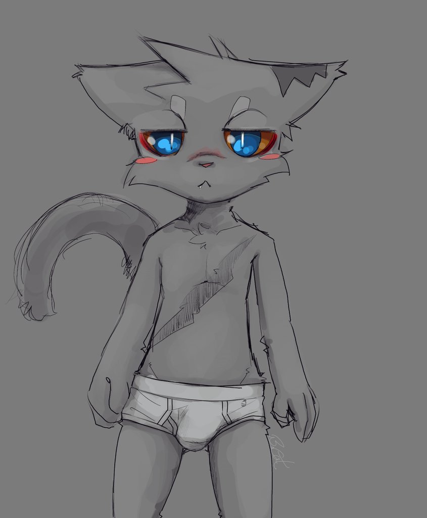 🇹🇼B. Cat⏩🇯🇵✧(순_순) tweet media