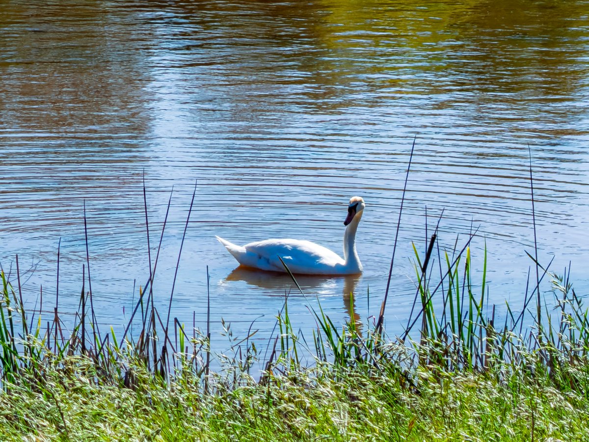 SpecMode tweet media