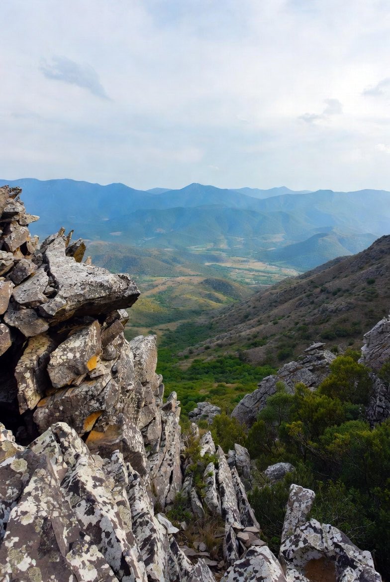 Dammy Esquire., tweet media