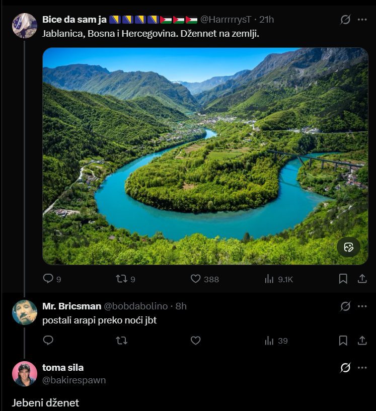 Bice da sam ja 🇧🇦🇧🇦🇧🇦🇧🇦🇵🇸🇵🇸🇵🇸 tweet media