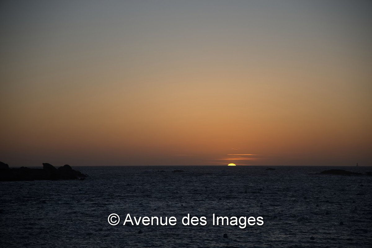 Avenue des Images tweet media