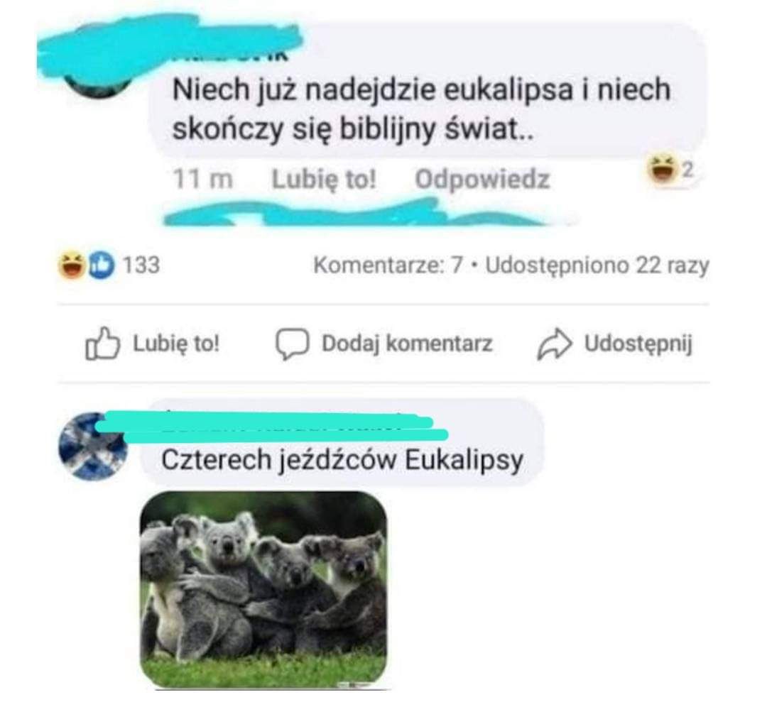 Eric 🇵🇱 tweet media
