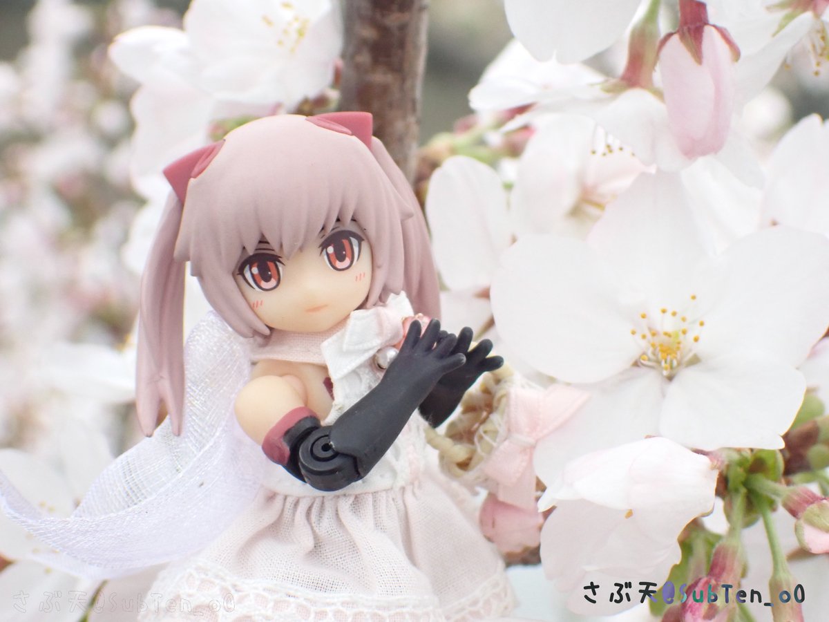 さぶ天 tweet media