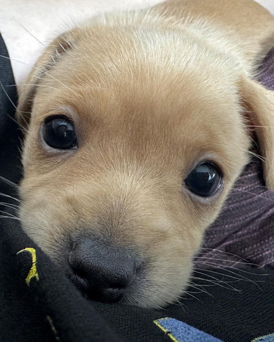 𝘁𝗵𝗶𝗻𝗴 ! tweet media