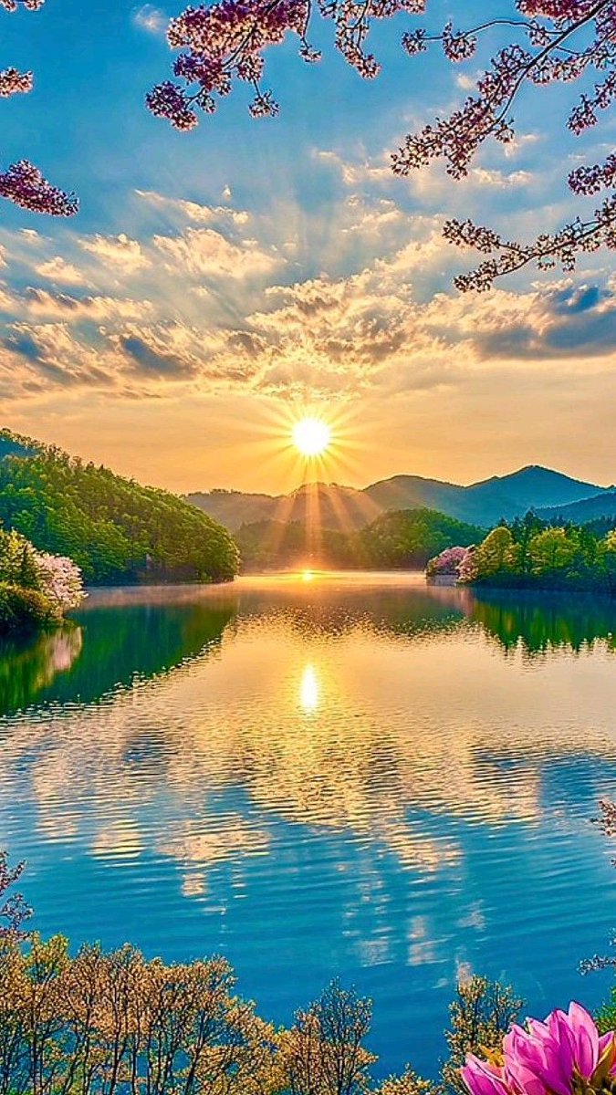 Omonu Maria tweet media