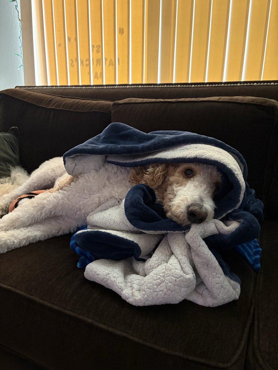 giselle. tweet media