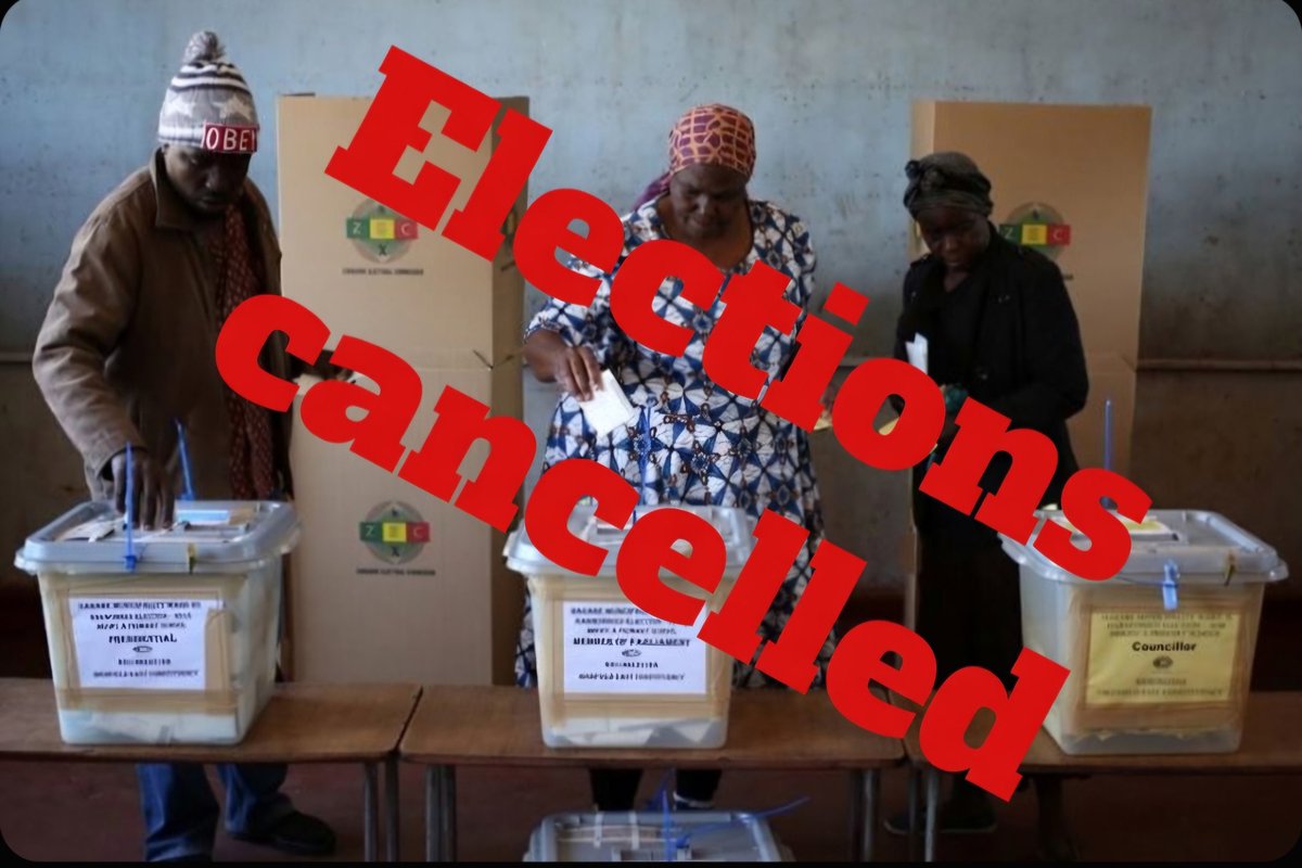 Team Pachedu tweet media