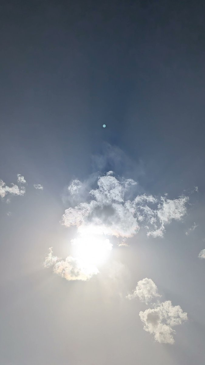 xiaめめcat tweet media