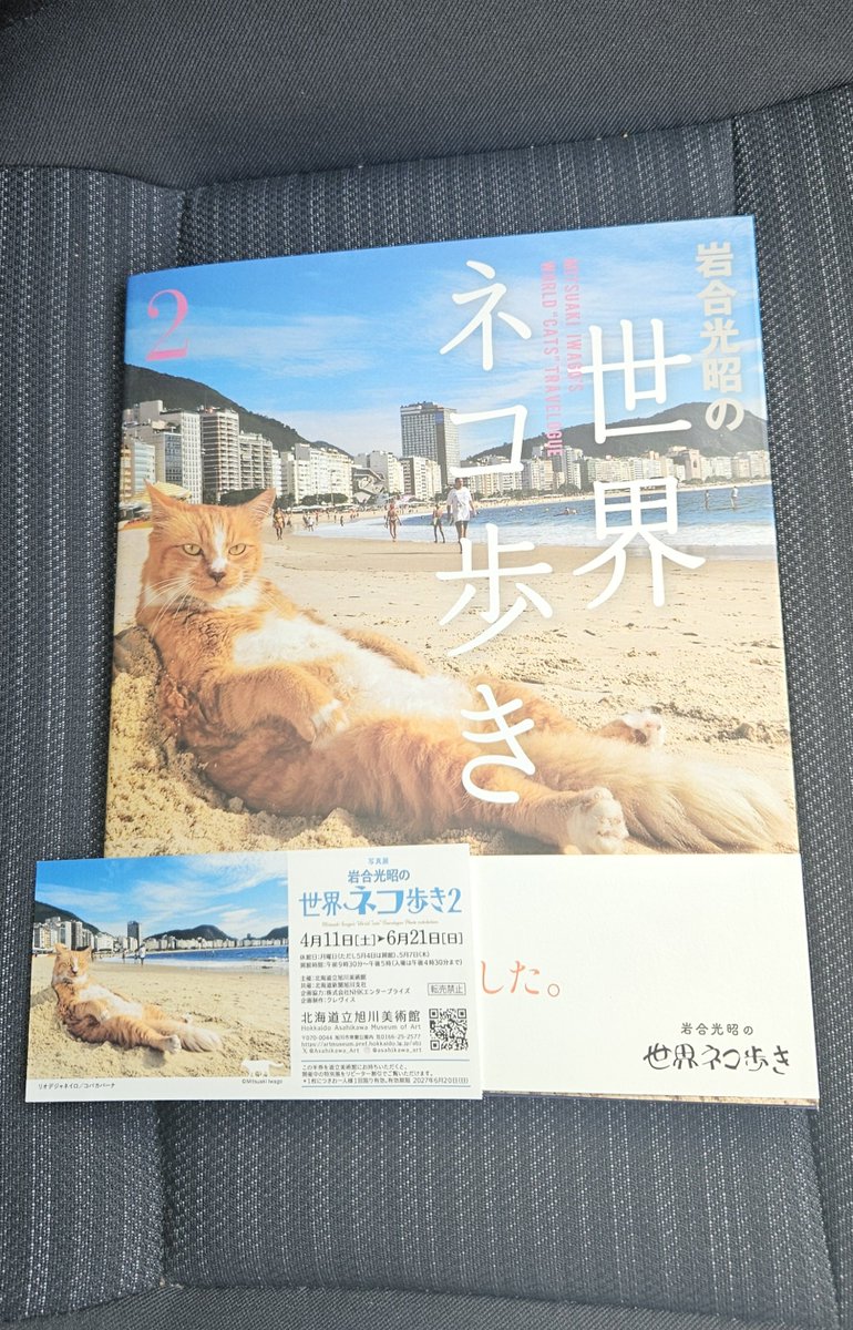 今日は美術館で猫写真を勉強
面白かったので本も買ったぞ