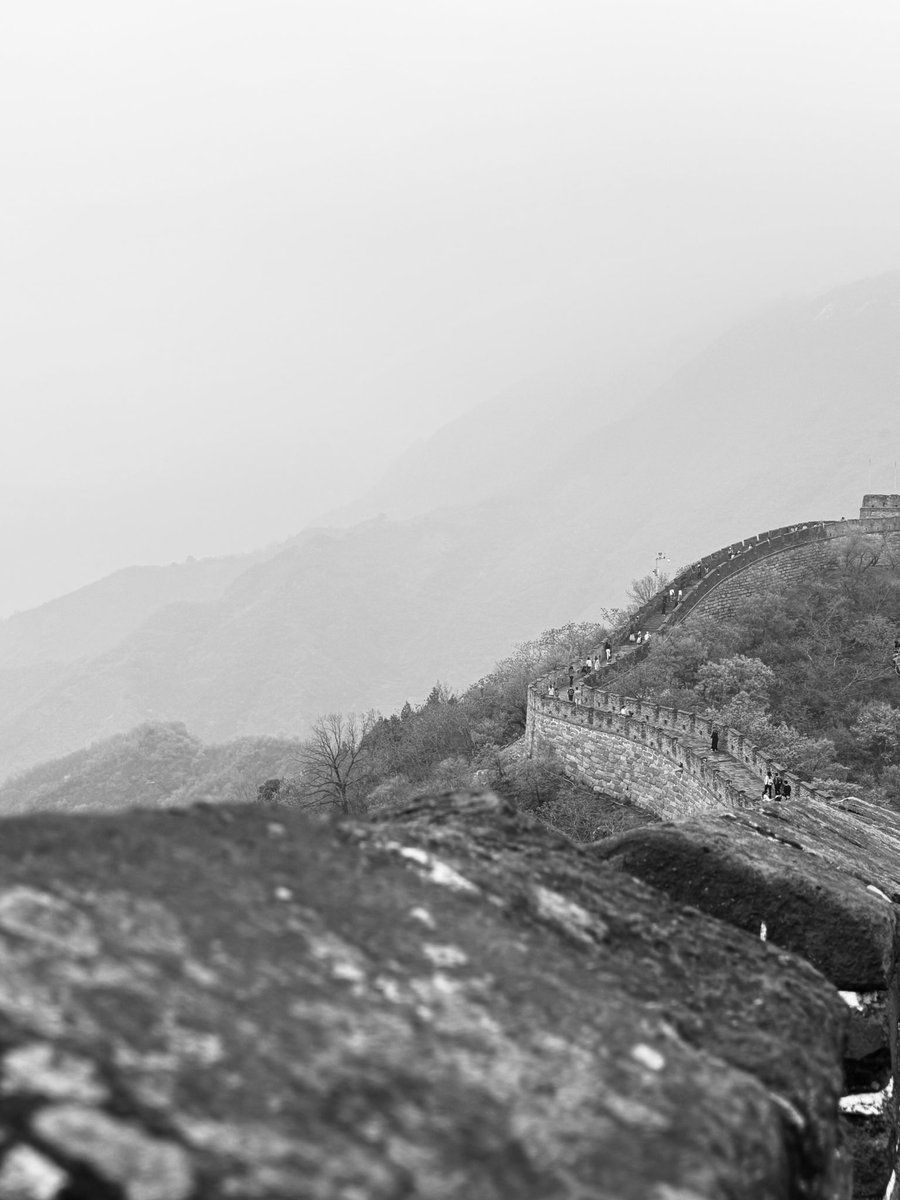 𝙼 𝚊 𝚛 𝚔 tweet media