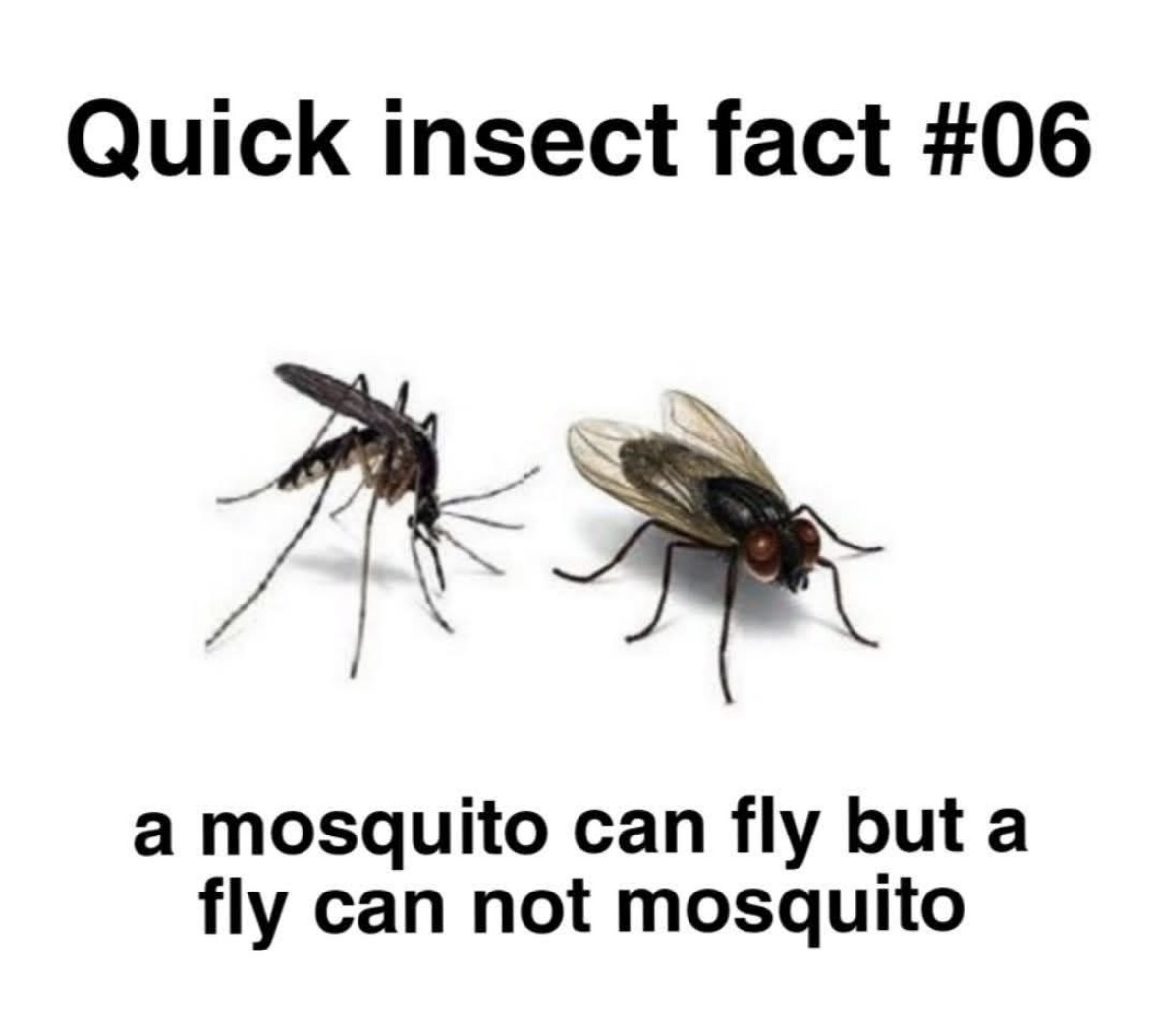 Respectful Memes tweet media
