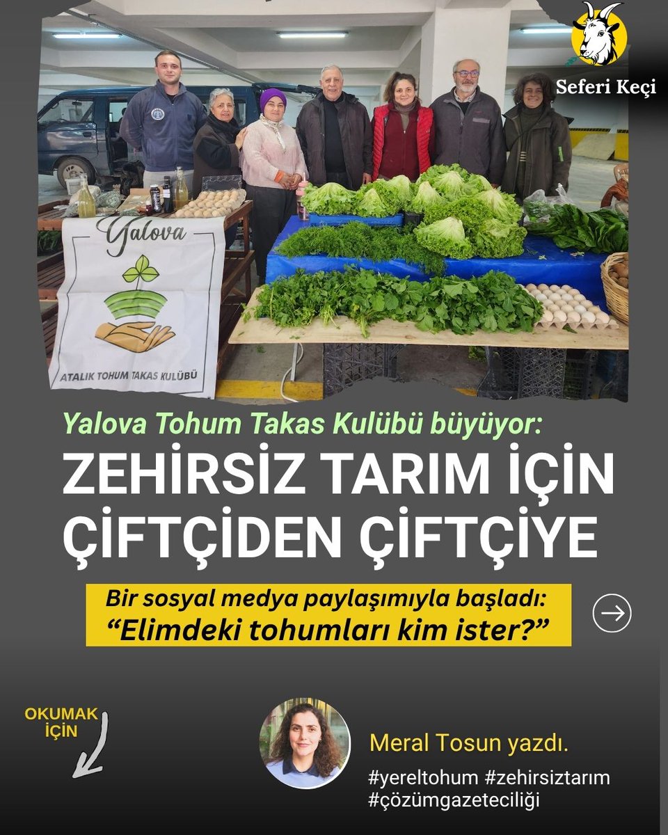 Seferi Keçi tweet media