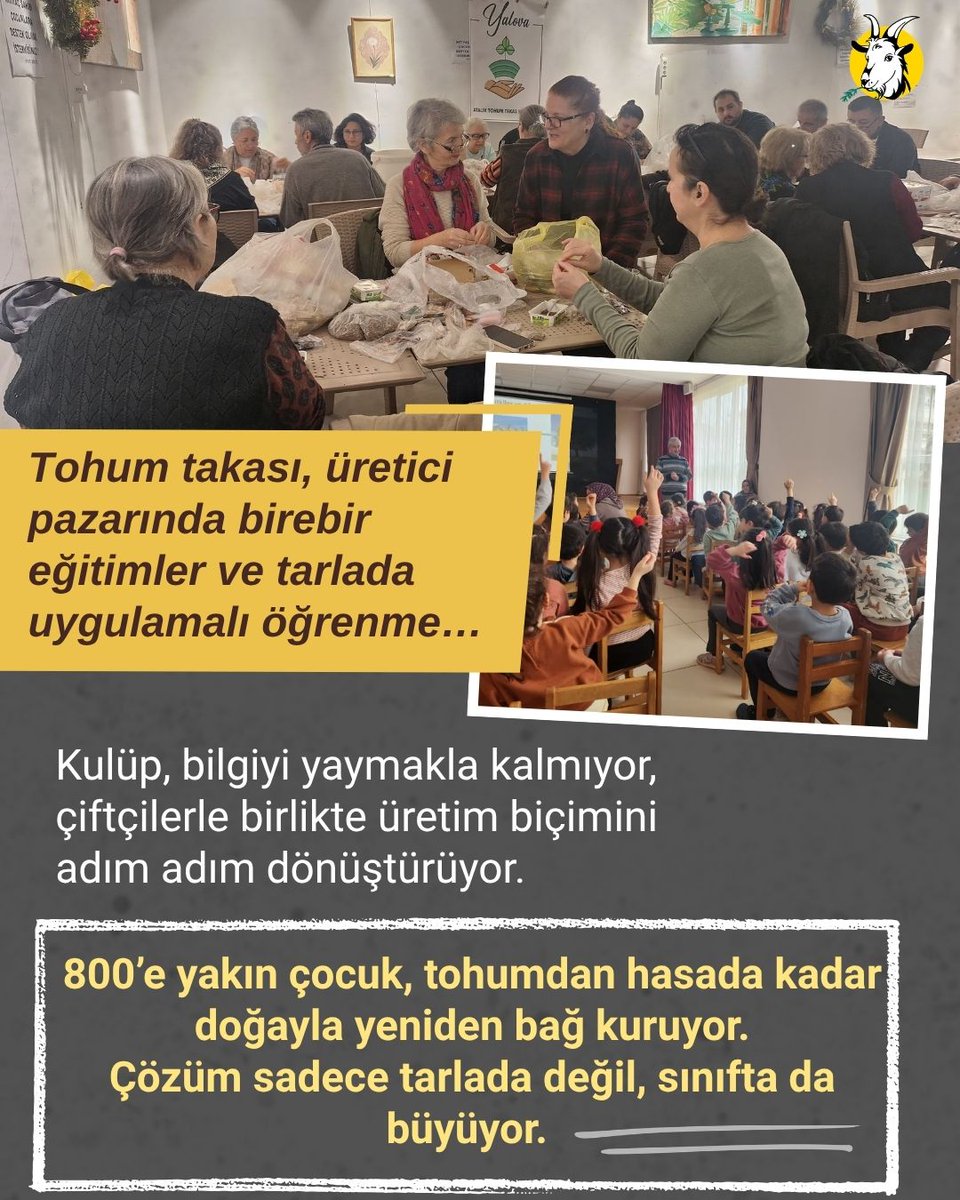 Seferi Keçi tweet media