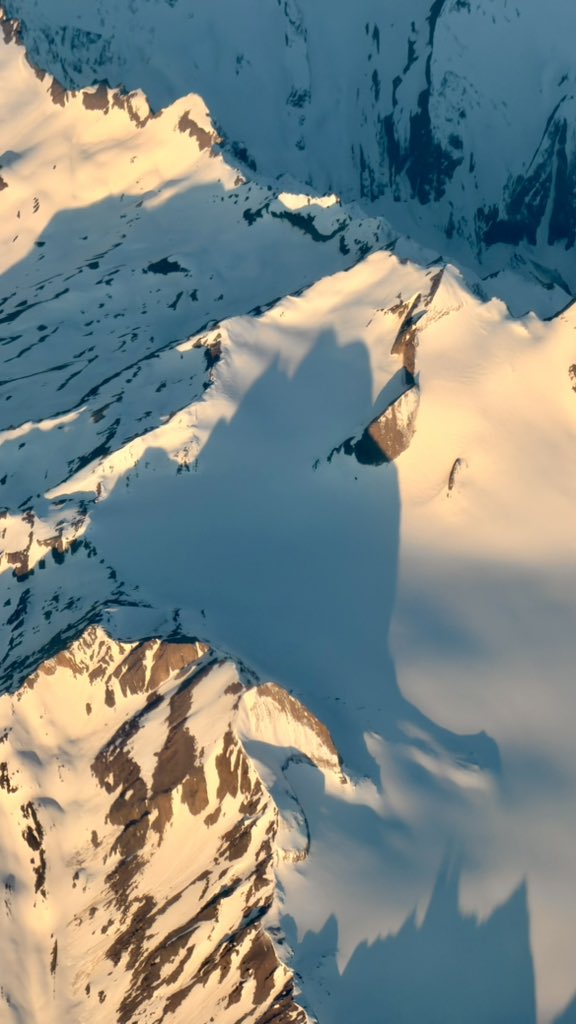 Vols de Max 👨🏻‍✈️ tweet media