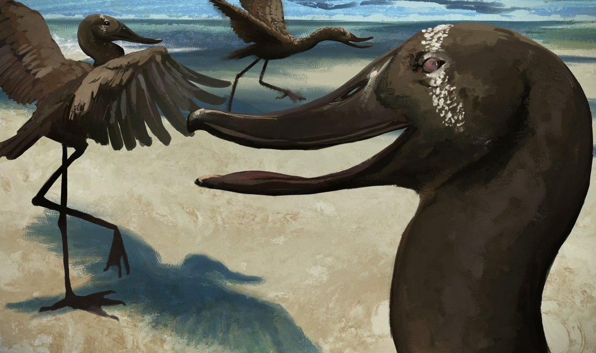 Mauricio - COMMS OPEN! tweet media