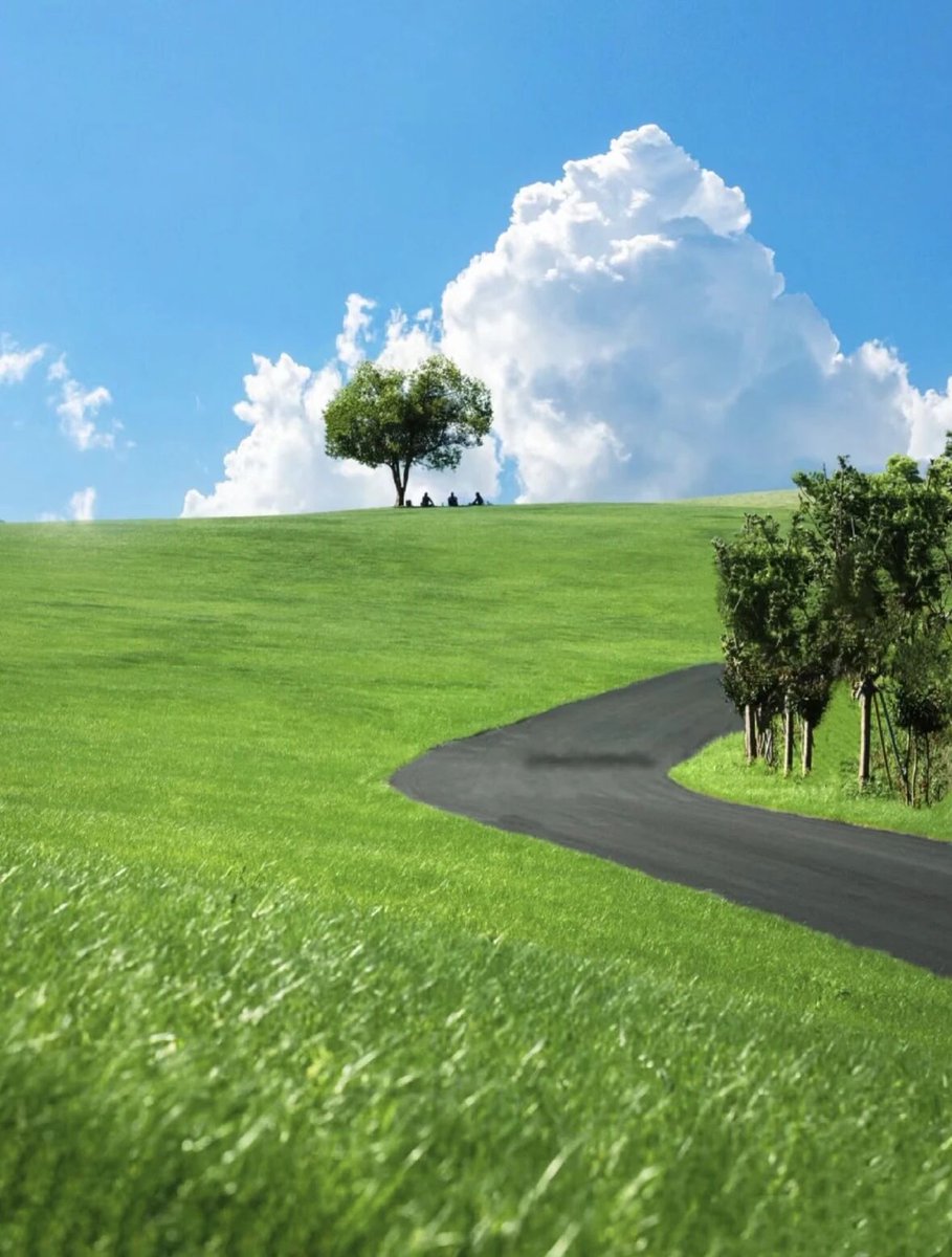 Marryfang 100%fo tweet media