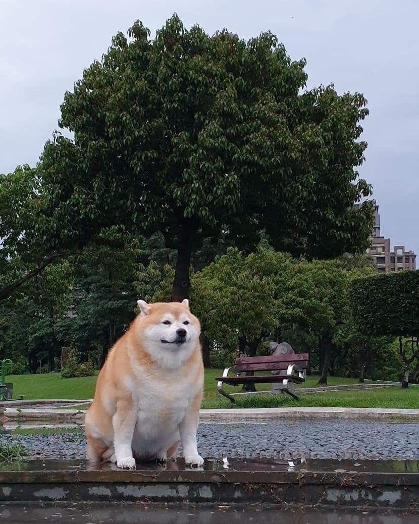 go (@exotic_jpn) on Twitter photo 