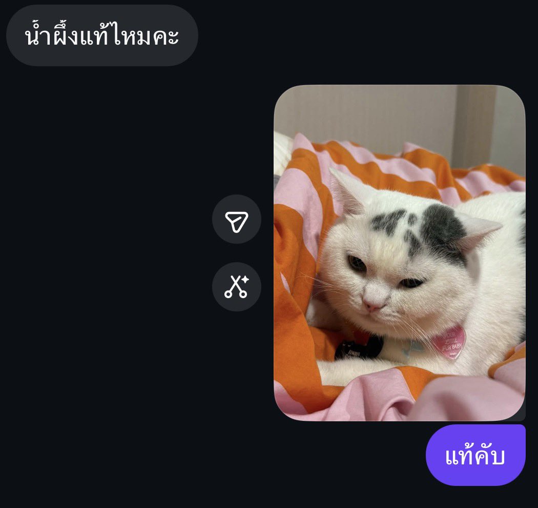 jejemama🎧🩰 tweet media