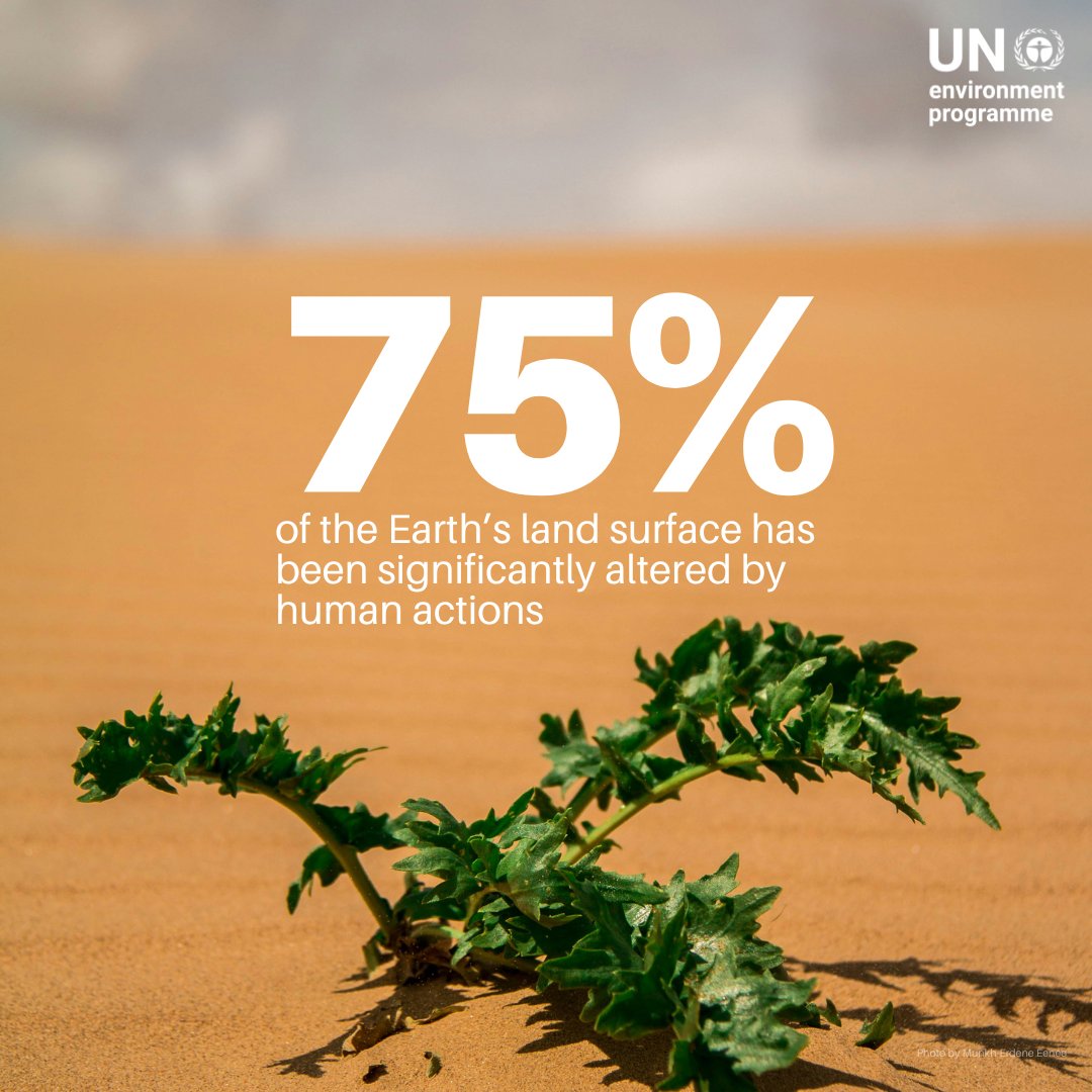 UN Environment Programme tweet media