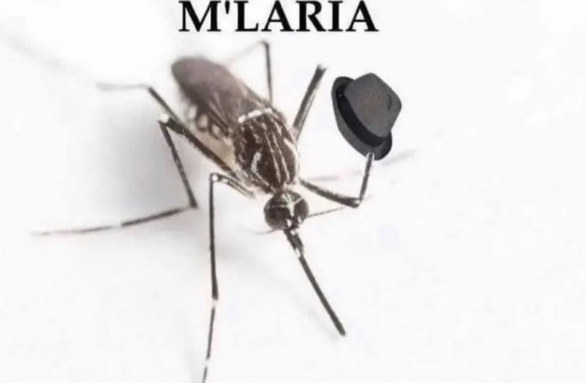 Respectful Memes tweet media