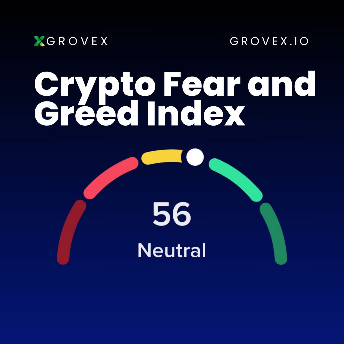GroveX tweet media
