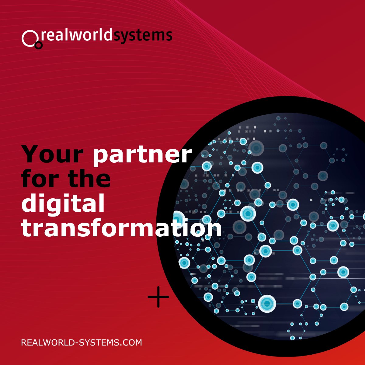 Realworld Systems tweet media