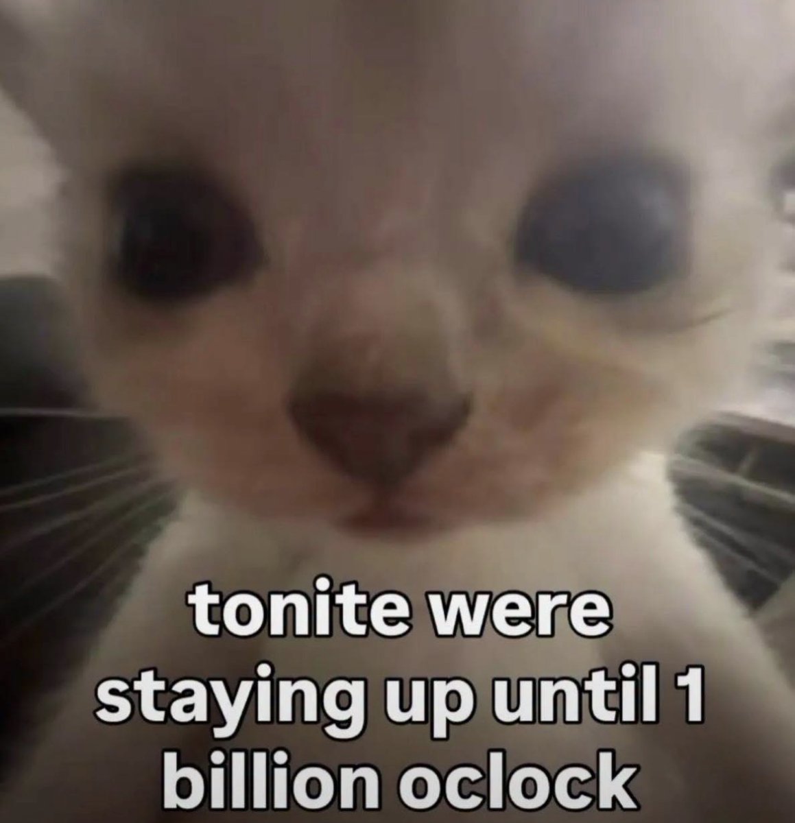 Respectful Memes tweet media