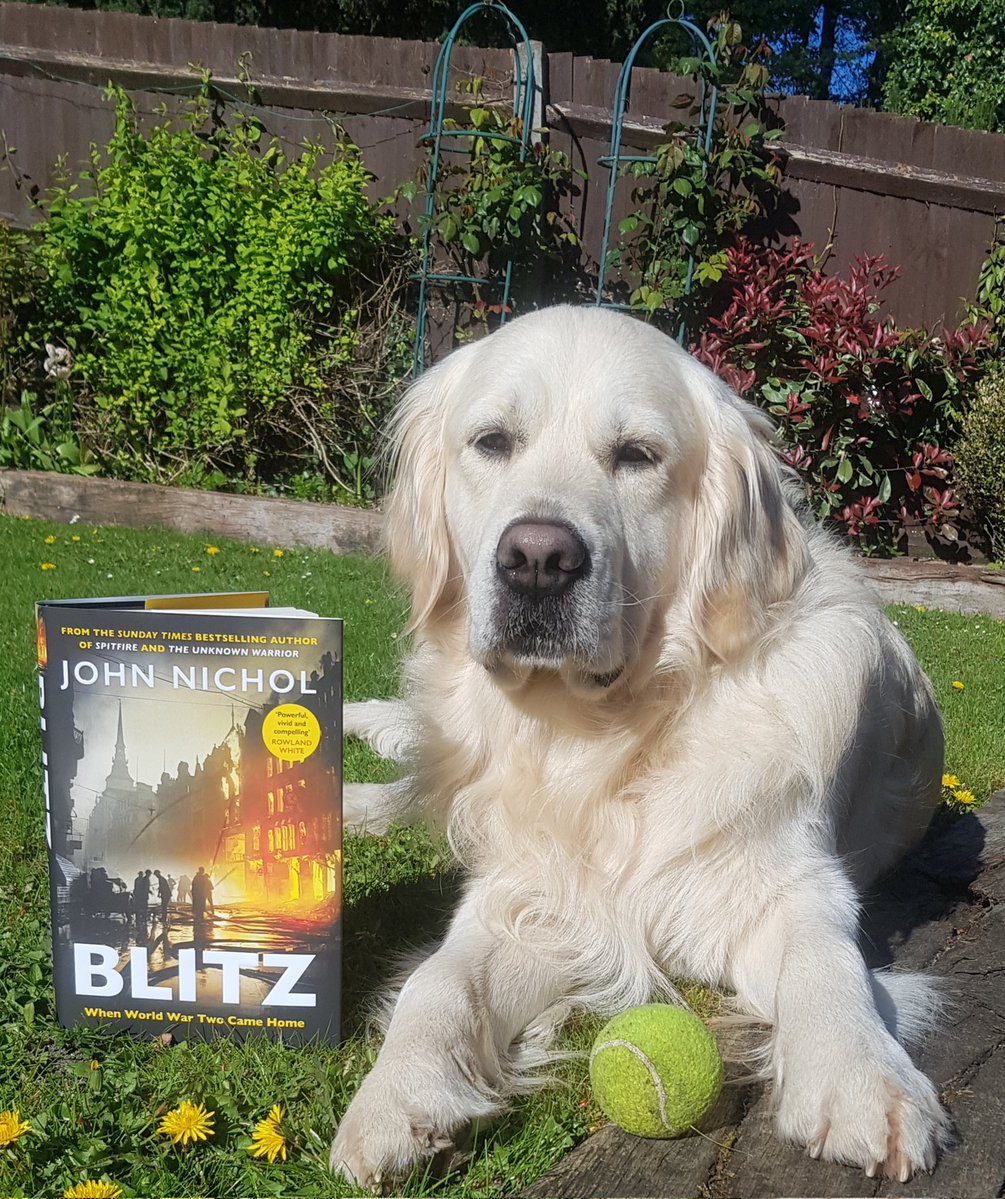 John Nichol ✈ tweet media