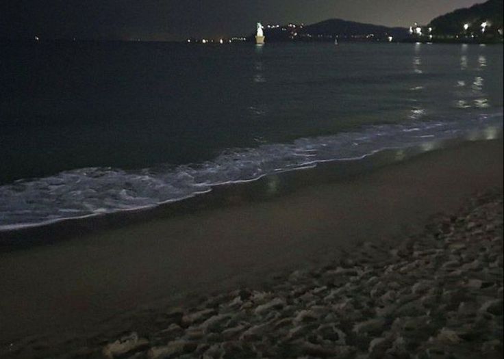 𝐀𝙶𝙰𝙽𝙾 𝚈𝐀𝚂𝚄𝙾 ⭑.ᐟ tweet media