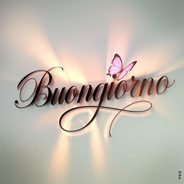 Antonella tweet media