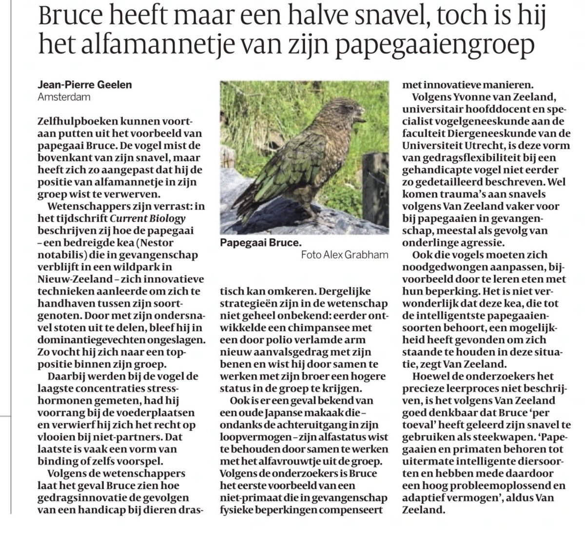 Neil van der Linden (hij/hem, he/him) tweet media