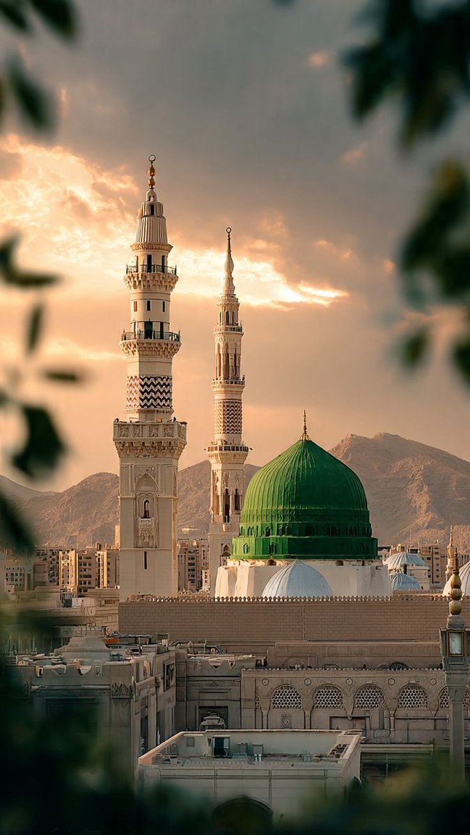 نورة الرحبية tweet media