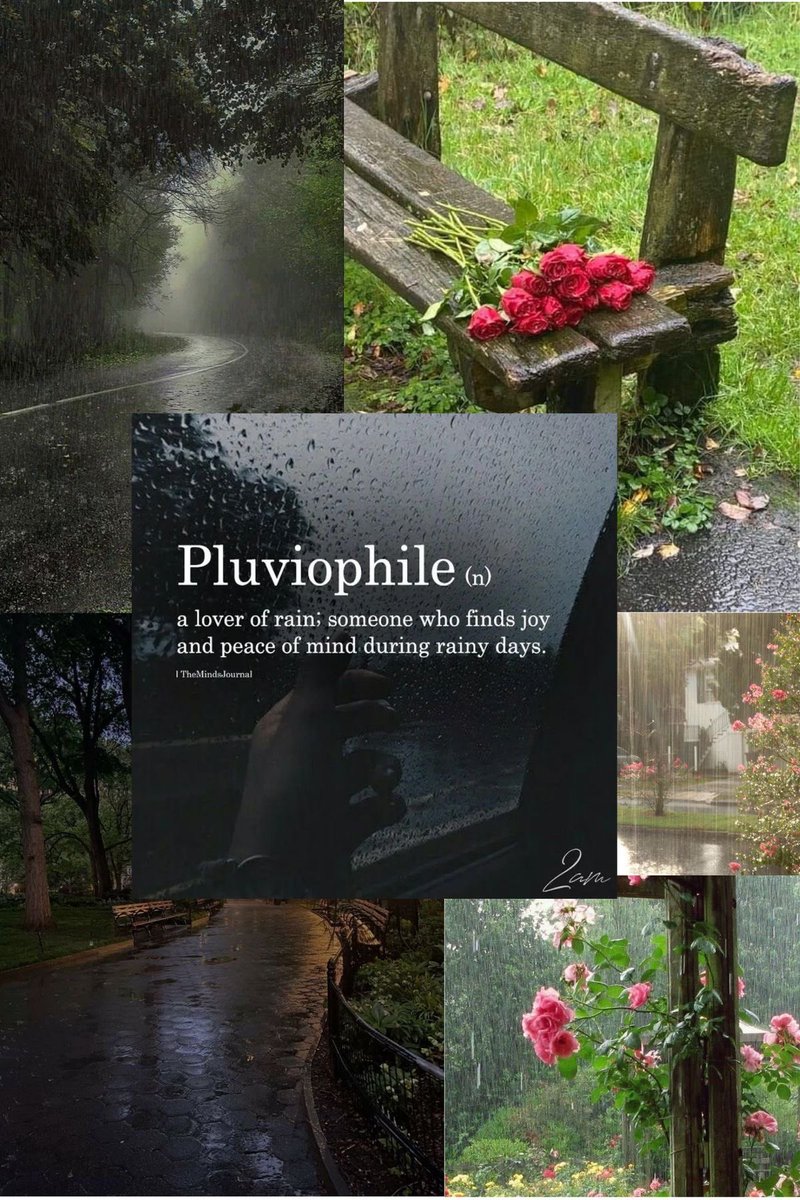 𝘯𝑎𝘵𝑢𝘳𝑒. tweet media