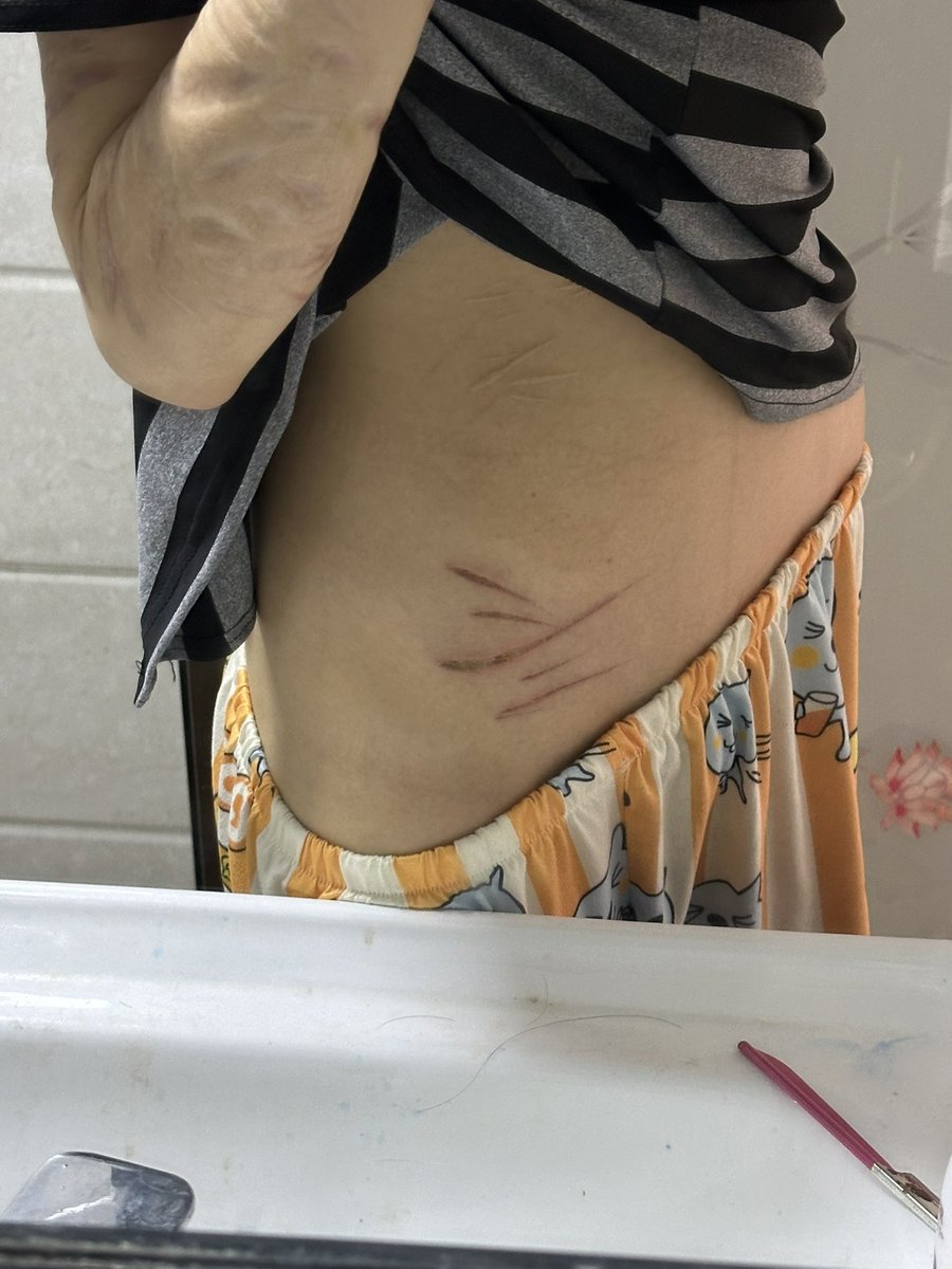 漂亮小狗鸡腿bot tweet media