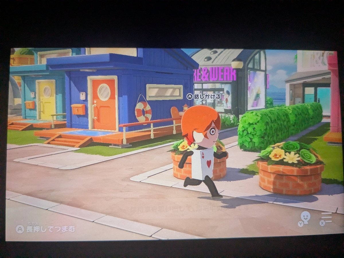 こはるﾁｬﾝ tweet media