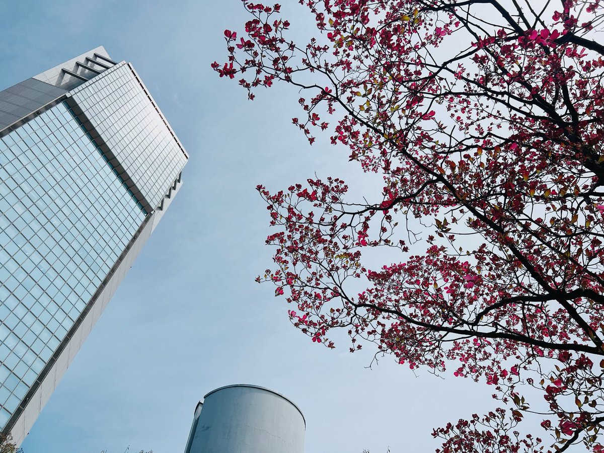 あーちゃん💙🌹 tweet media