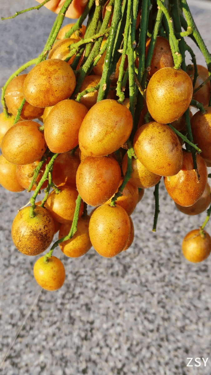 Eric Wahner tweet media